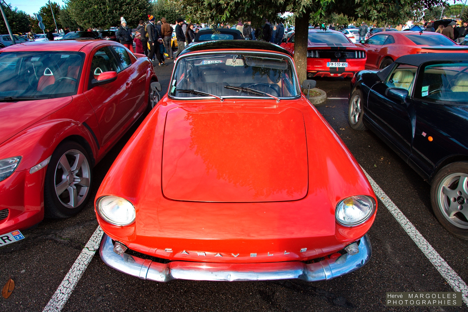 Renault Caravelle_02.jpg